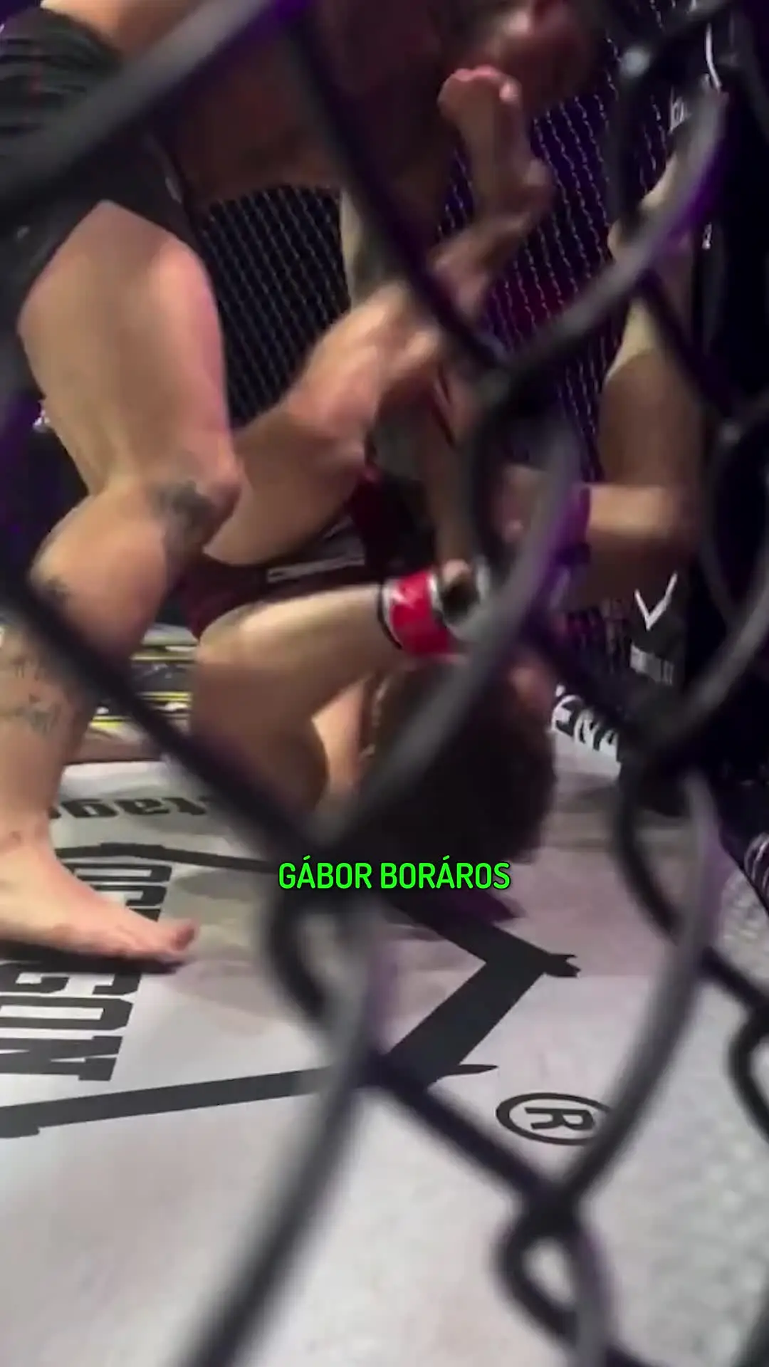 Náhľad TikTok videa — GÁBOR končí v RFA